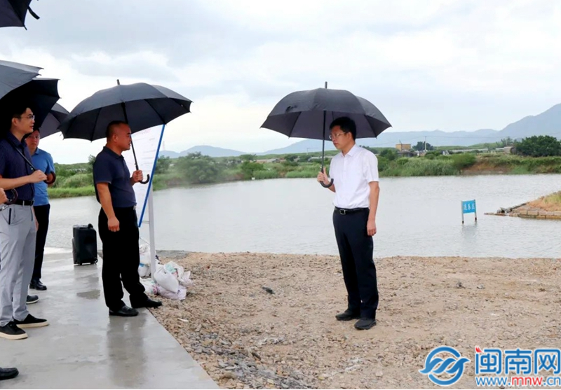 PG电子云霄县委书记调研重点水利项目建设(图1)