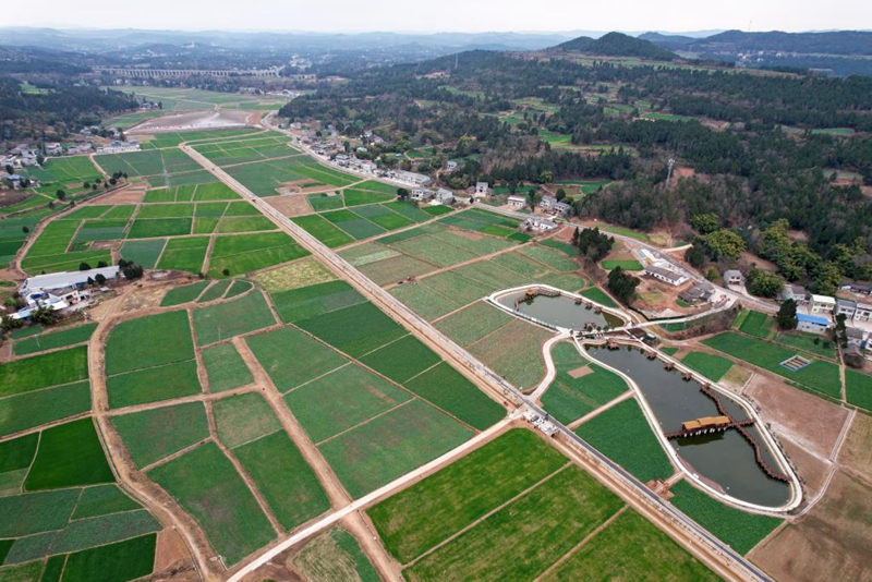 PG电子平台四川绵阳：修渠建塘兴水利 农田升级筑“粮仓”(图1)