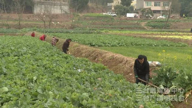 绵阳三台：抢抓冬春施工黄金期 全面掀起农田水利设施建设热潮PG电子平台(图2)