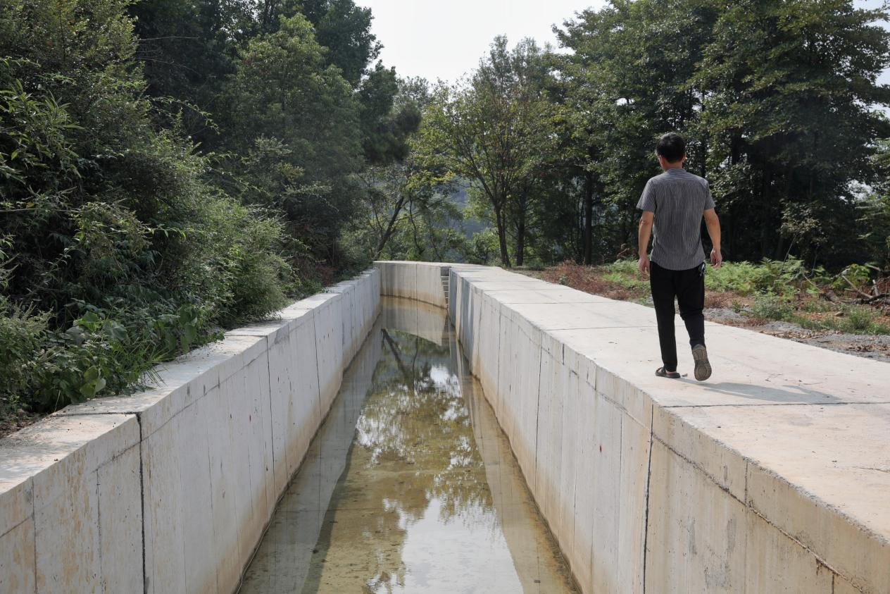 PG电子平台水利项目建设火 湖南衡阳县办好群众满意的水利实事(图4)